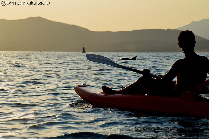 Kayak tour with aperitif and dolphins - How likely are you to see dolphins?