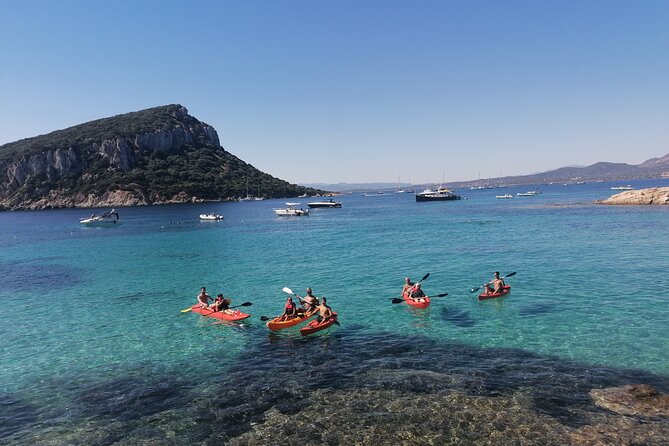 Kayak tour with aperitif and dolphins - Guides who add meaning to the sea life