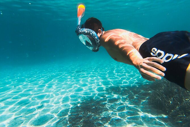 Kayak tour with aperitif and dolphins - Who will enjoy this most?