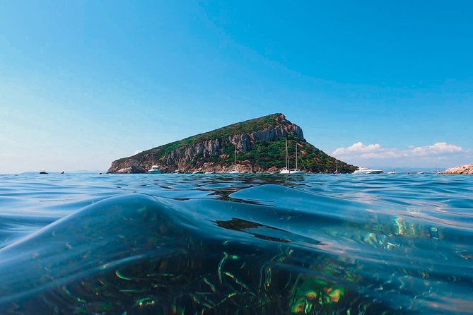Kayak tour with aperitif and dolphins - What to bring and how to prepare