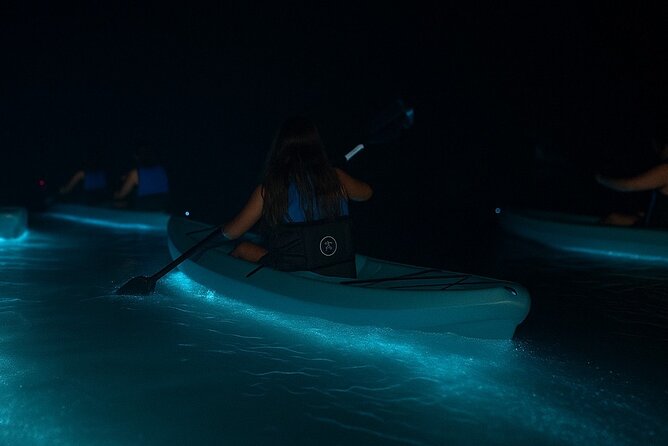 Kayak Tours and Rentals. Dolphins, Manatees, and Bioluminescence! - Starting at Kiwanis Island Park in Merritt Island
