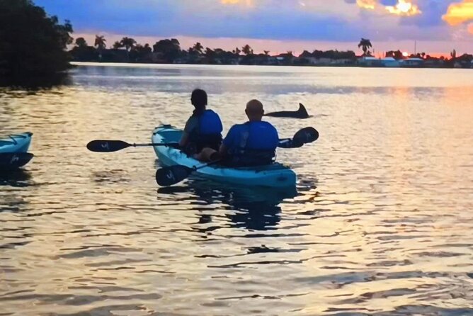 Kayak Tours and Rentals. Dolphins, Manatees, and Bioluminescence! - Why the Indian River Lagoon makes sense for this tour