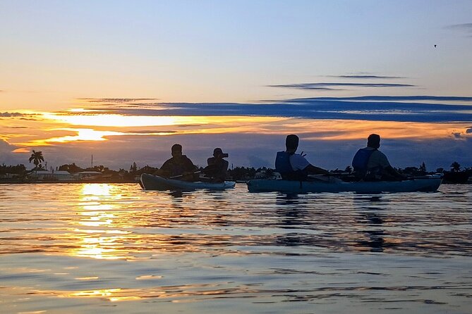 Kayak Tours and Rentals. Dolphins, Manatees, and Bioluminescence! - The special appeal of the May to August night tour