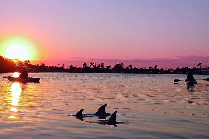 Kayak Tours and Rentals. Dolphins, Manatees, and Bioluminescence! - Is $55 a fair price?