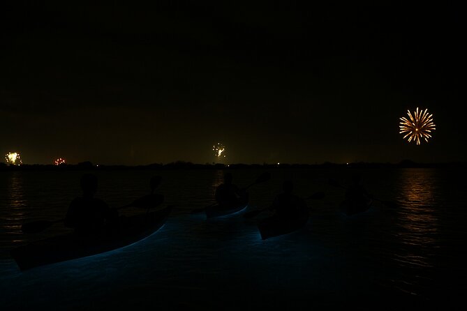 Kayak Tours and Rentals. Dolphins, Manatees, and Bioluminescence! - Who will enjoy this most