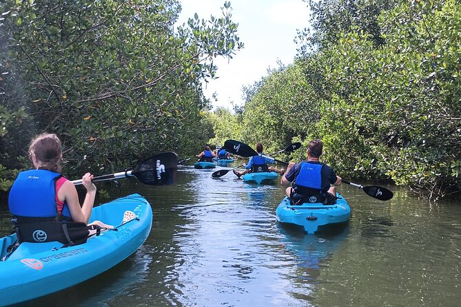 Kayak Tours and Rentals. Dolphins, Manatees, and Bioluminescence! - Booking, weather, and cancellation advice
