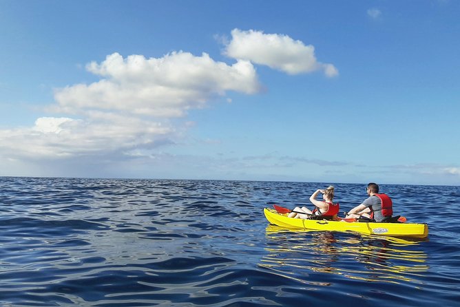 Kayak with Dolphin & Turtle Watching Private Tour - Palmar Cave and the Guaza cliffs