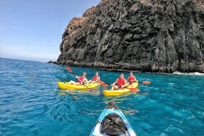 Kayak with Dolphin & Turtle Watching Private Tour - Snorkeling beside the coast