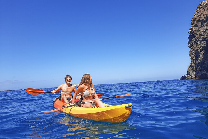 Kayak with Dolphin & Turtle Watching Private Tour - Searching for dolphins, turtles, and seabirds