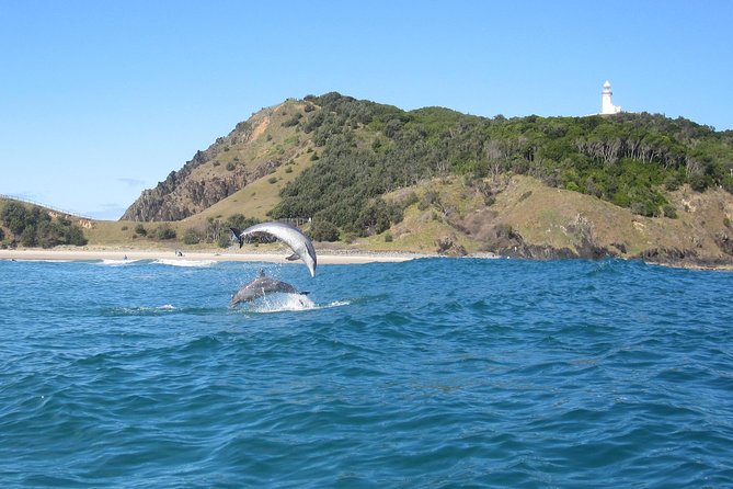 Kayaking with Dolphins in Byron Bay Guided Tour - Starting Opposite 62 Lawson Street