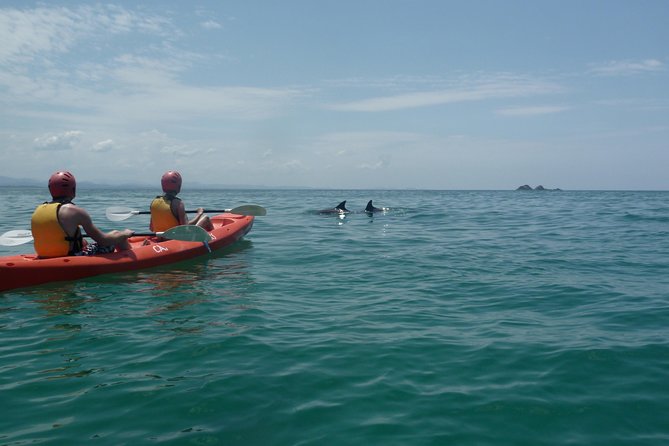 Kayaking with Dolphins in Byron Bay Guided Tour - Riding Waves Near the Beach