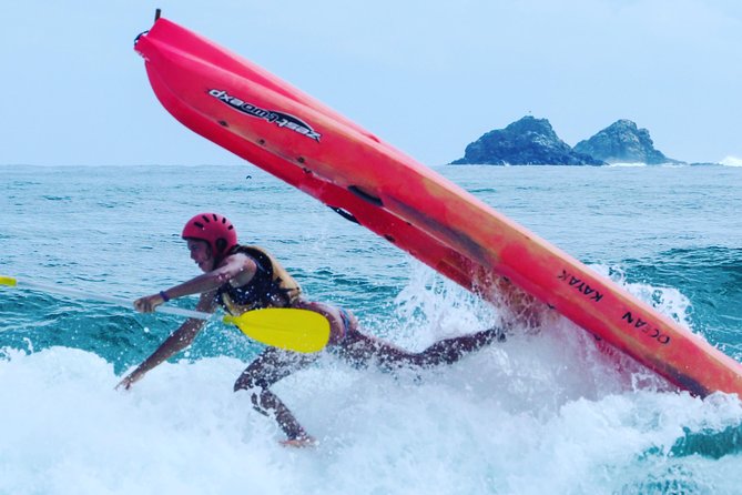 Kayaking with Dolphins in Byron Bay Guided Tour - Choosing Morning or Afternoon