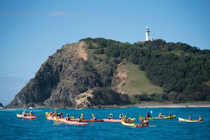 Kayaking with Dolphins in Byron Bay Guided Tour - Paddling Into Cape Byron Marine Park