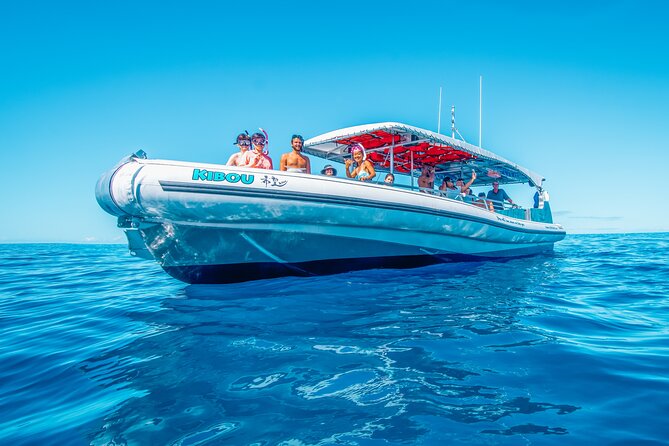 Kealakekua Bay Snorkel & Dolphin Safari In Kona Big Island (4hrs) - The Crew Makes a Practical Difference