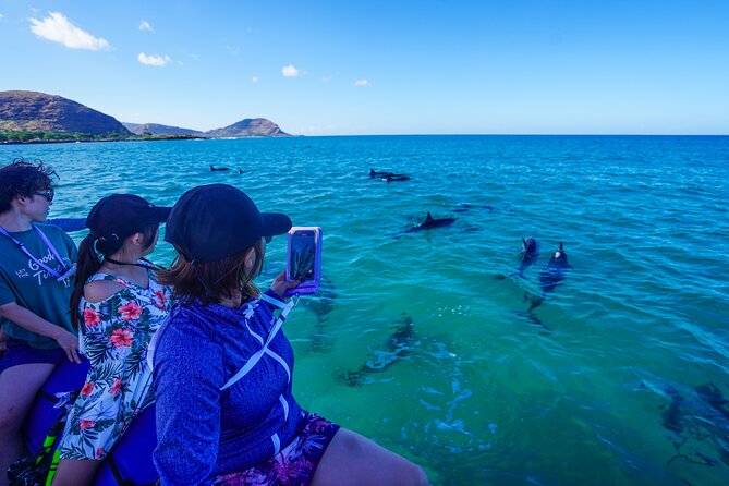 Kealakekua Bay Snorkel & Dolphin Safari In Kona Big Island (4hrs) - Is the $150 Price Good Value?