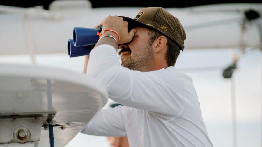 Key West: Afternoon Catamaran Sail and Dolphin Watch - How this compares with a standard sightseeing cruise