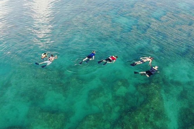 Key West Dolphin and Snorkel Experience - Who will enjoy this Key West trip?