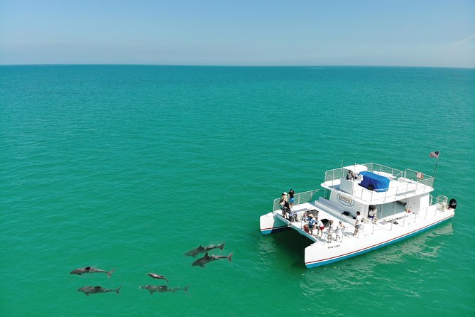 Key West Dolphin and Snorkel Experience - Snorkeling around the Florida Keys sanctuary
