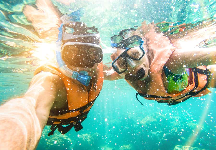 Key West: Dolphin & Reef Snorkel Trip with Sunset Option - Key points to know before you book