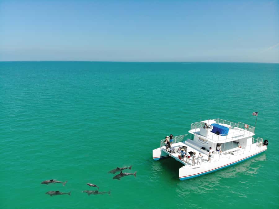 Key West: Dolphin & Reef Snorkel Trip with Sunset Option - Snorkeling over coral and tropical fish