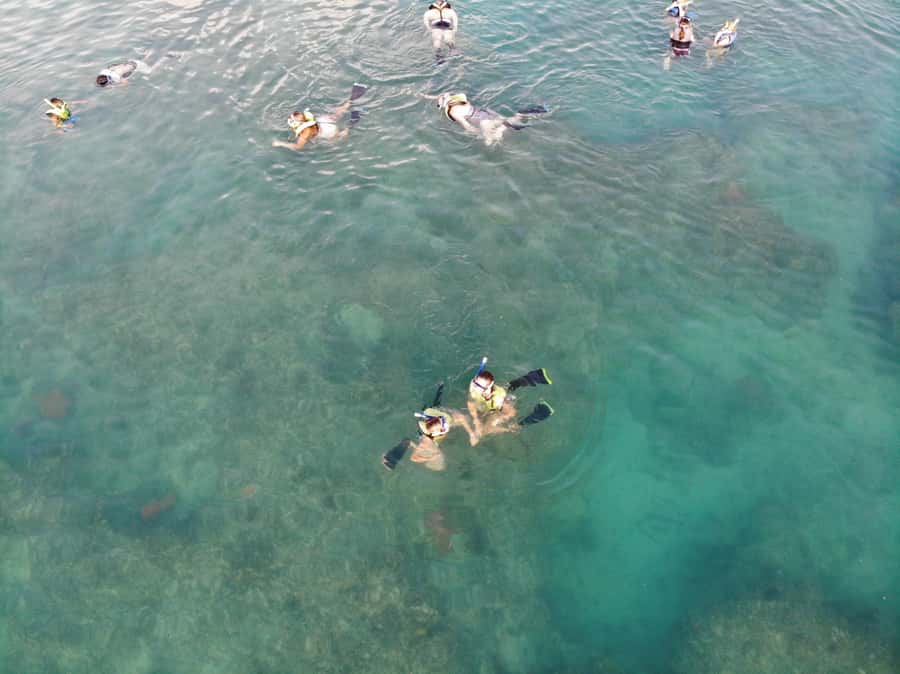 Key West: Dolphin & Reef Snorkel Trip with Sunset Option - Morning trip or sunset sailing?