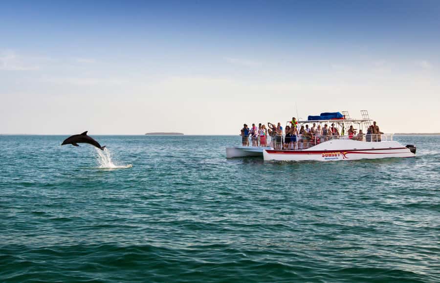 Key West: Dolphin & Reef Snorkel Trip with Sunset Option - Who will enjoy this three-hour outing?