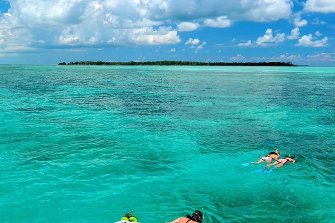 Key West Dolphin Watch and Snorkel Tour - Eco Adventure - The Gulf backcountry snorkel is not the Atlantic reef