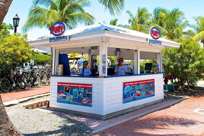 Key West Dolphin Watch and Snorkel Tour - Eco Adventure - First-time snorkelers can take part
