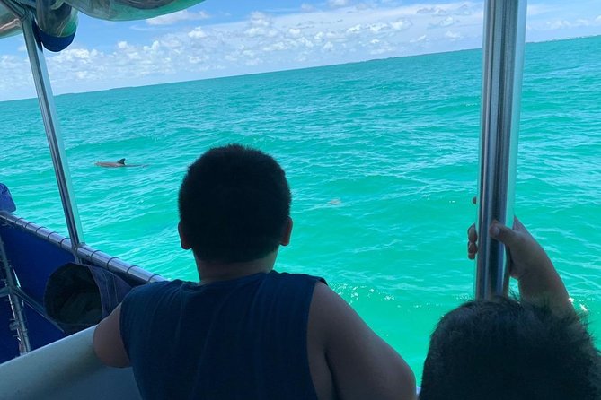 Key West Dolphin Watch and Snorkel Tour - Eco Adventure - Crew service can make or break the outing