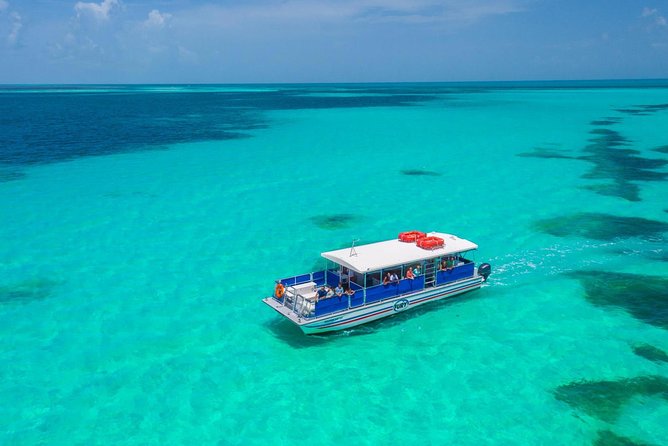 Key West Dolphin Watch and Snorkel Tour - Eco Adventure - Who will enjoy this Key West boat tour?