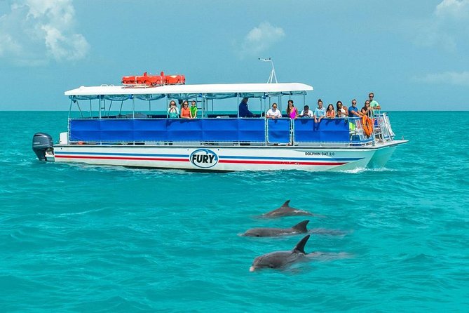Key West Dolphin Watch and Snorkel Tour - Eco Adventure - What the open-water ride feels like