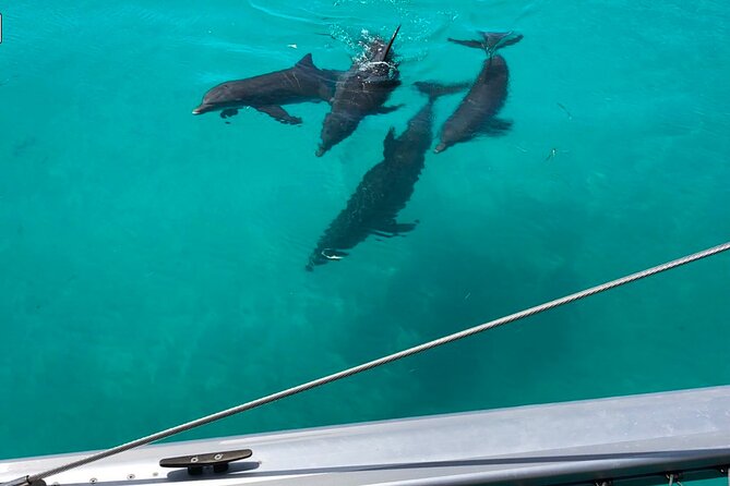 Key West Dolphin Watch and Sunset Sail on Catamaran - Fresh snacks make the boat time easier