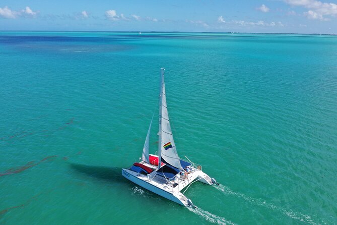 Key West Dolphin Watch and Sunset Sail on Catamaran - Price, timing, and what you are really buying