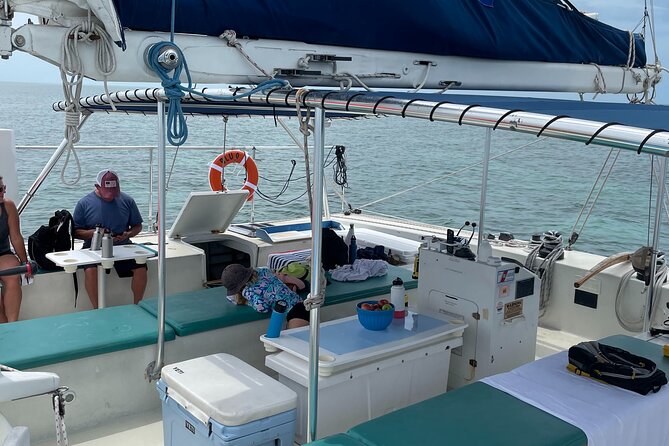 Key West Dolphin Watch and Sunset Sail on Catamaran - Who will enjoy this trip most