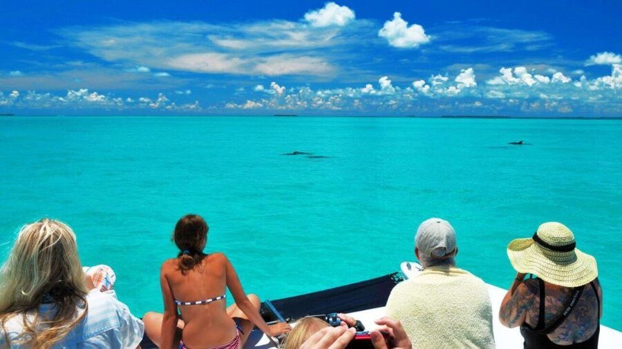 Key West: Dolphin Watching and Snorkeling Eco Cruise Tour - A three-hour boat trip with two very different moods