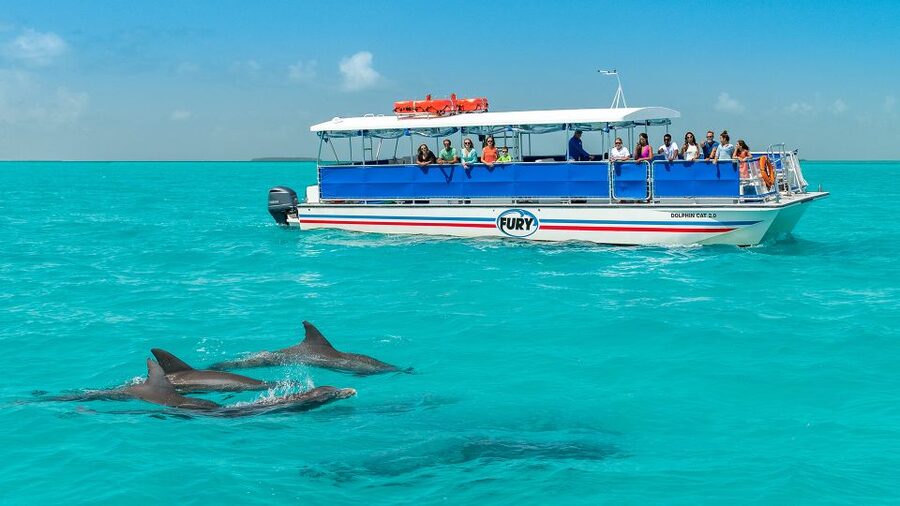 Key West: Dolphin Watching and Snorkeling Eco Cruise Tour - Cruising out across the Gulf of Mexico