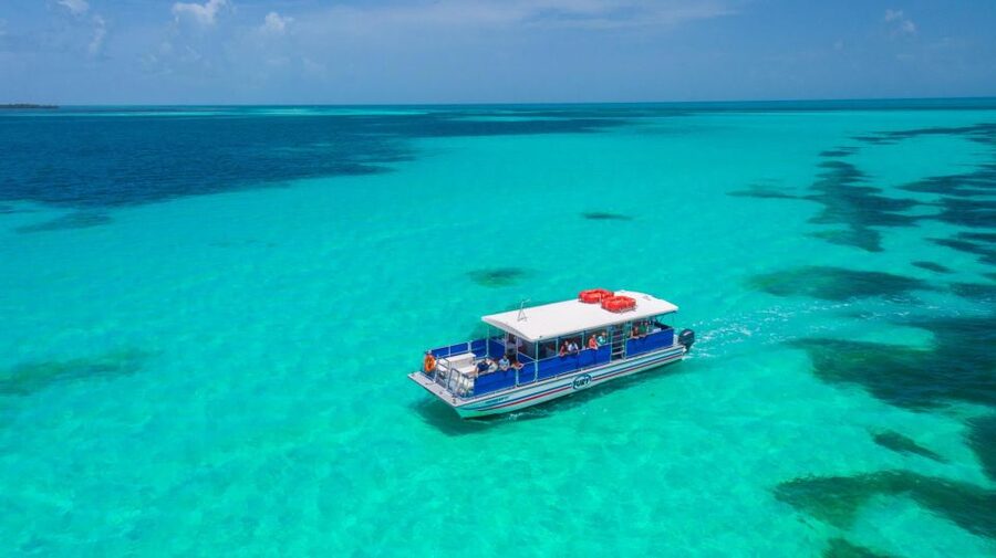 Key West: Dolphin Watching and Snorkeling Eco Cruise Tour - Searching for bottlenose dolphins in the wild