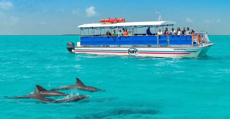 Key West: Dolphin Watching and Snorkeling Eco Cruise Tour - Snorkeling in the Key West backcountry
