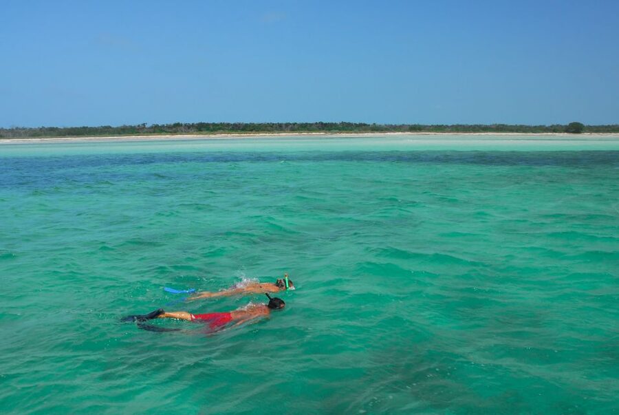 Key West: Dolphin Watching and Snorkeling Eco Cruise Tour - Who will enjoy this tour most?