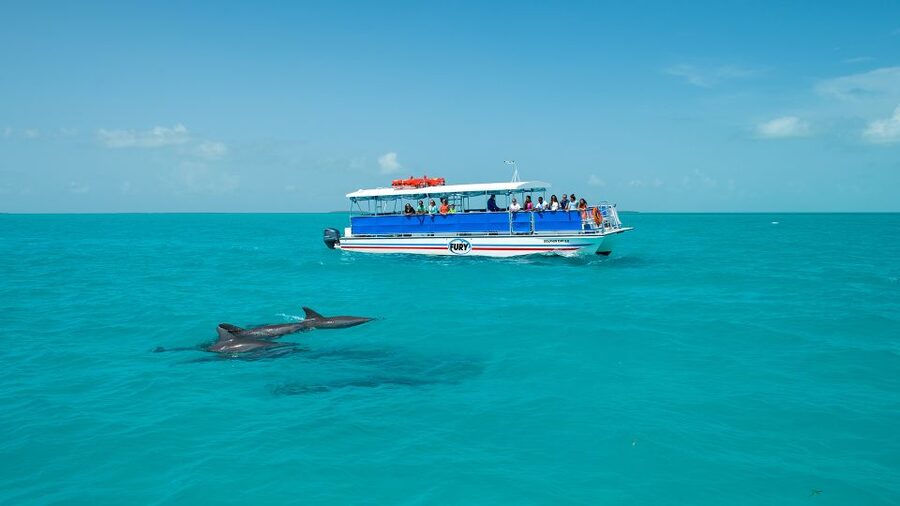 Key West: Dolphin Watching and Snorkeling Eco Cruise Tour - Practical tips for a better afternoon