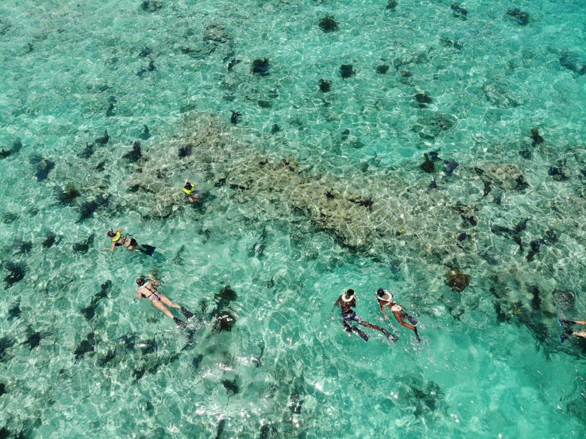 Key West: Dolphin Watching and Snorkeling Sunset Cruise - Why this three-hour route works
