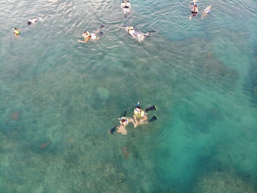 Key West: Dolphin Watching and Snorkeling Sunset Cruise - The sunset return to the dock