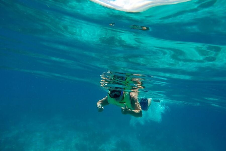 Key West: Dolphin Watching and Snorkeling Sunset Cruise - Is $79 a fair price?