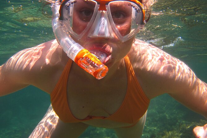 Key West: Dolphin Watching cruise & Snorkeling unlimited beer & soda - Who should book this cruise