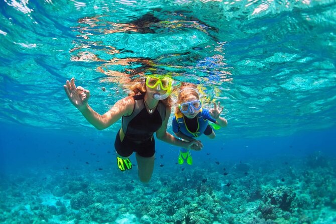 Key West: Dolphin Watching cruise & Snorkeling unlimited beer & soda - Snorkeling at the reef, or a sheltered alternative