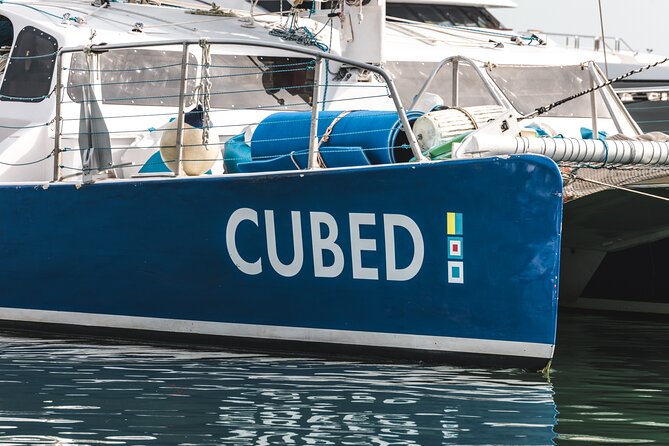 Key West's Favorite Afternoon Dolphin Sail - A Dolphin Sail That Begins in the Heart of Key West
