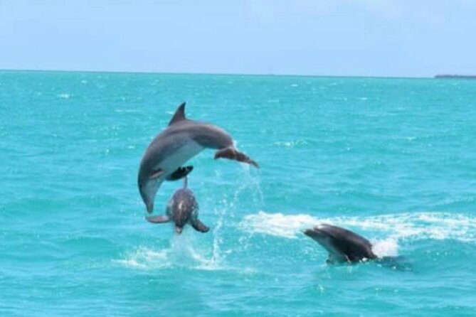 Key West's Favorite Afternoon Dolphin Sail - Sailing Past Sunset Key