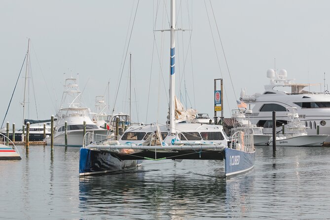 Key West's Favorite Afternoon Dolphin Sail - Drinks, Music, and the Key West Mood