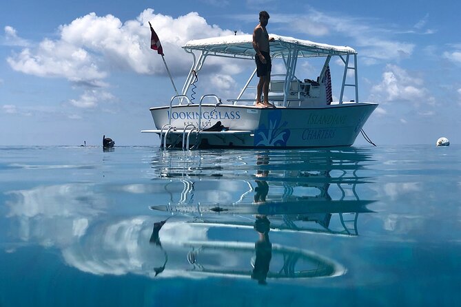 Key West: Snorkel, Sandbar & Dolphin Excursion - A remote beach and the appeal of the backcountry