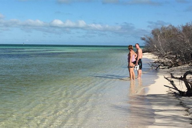 Key West: Snorkel, Sandbar & Dolphin Excursion - The $800 price and who gets the best value
